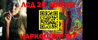Альфа ПВП Можга