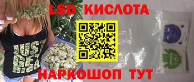 Альфа ПВП Можга