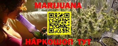 Альфа ПВП Можга