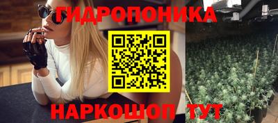 Альфа ПВП Можга